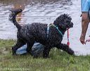 20180819-wwd-0303