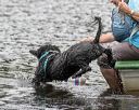 20180819-wwd-0328