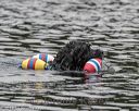 20180819-wwd-0339