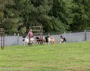 20180922-cca-0147