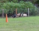 20180922-cca-0163