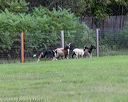 20180922-cca-0166