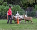 20180922-cca-0193