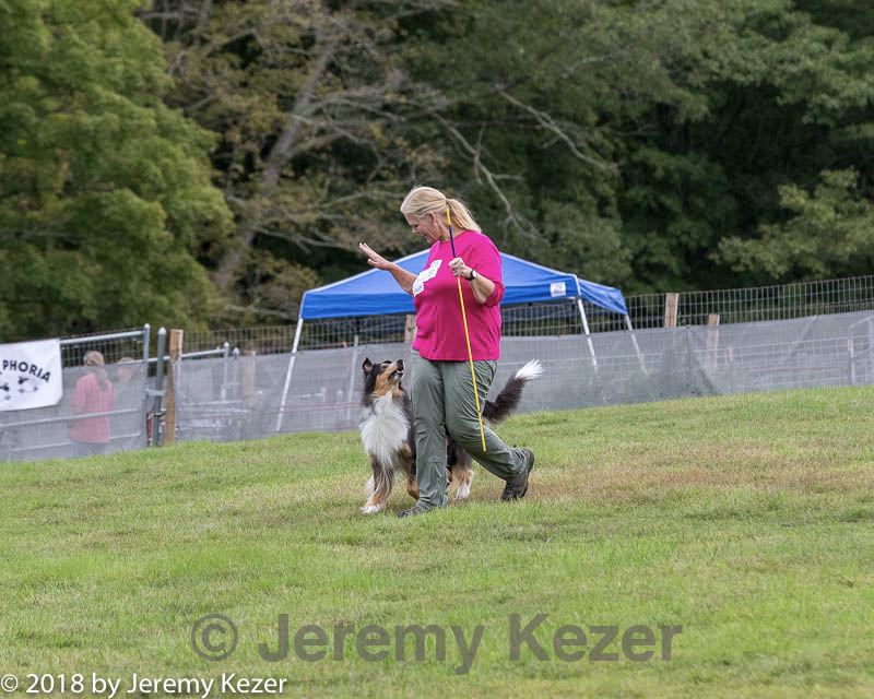 20180922-cca-0130.jpg