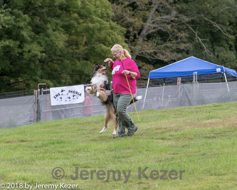 20180922-cca-0134.jpg