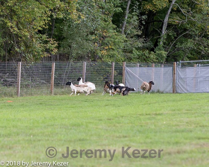 20180922-cca-0141.jpg