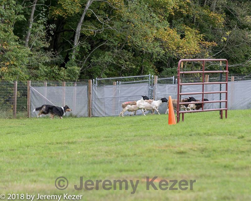 20180922-cca-0142.jpg