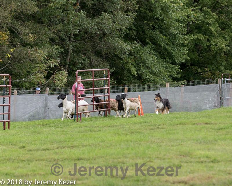 20180922-cca-0147.jpg