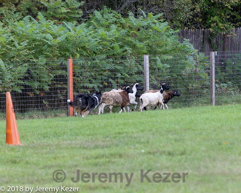 20180922-cca-0164.jpg