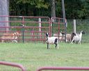 20180922-cca-0248