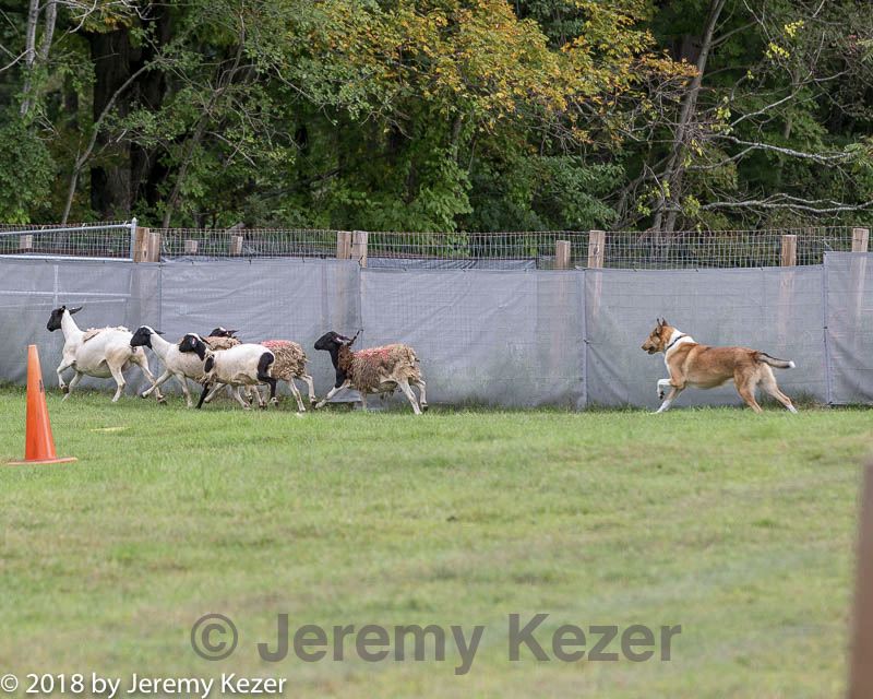 20180922-cca-0230.jpg