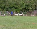 20180922-cca-0512