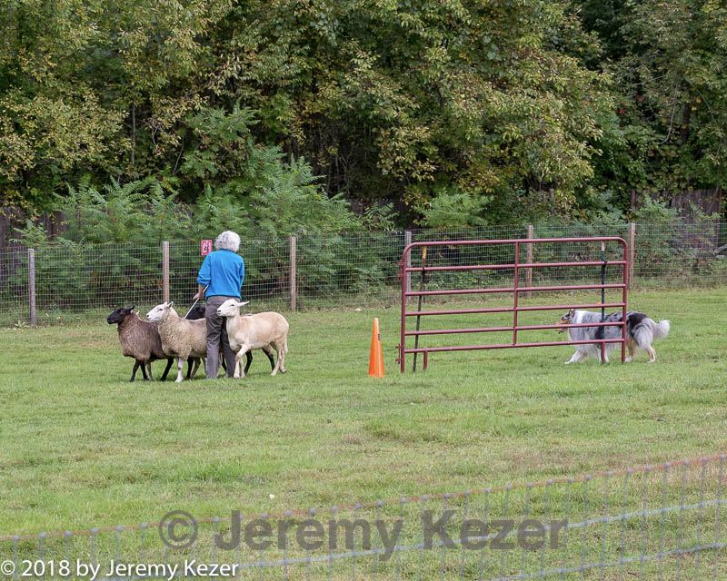 20180922-cca-0370.jpg