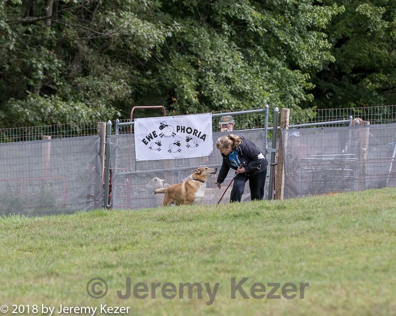 20180922-cca-0475.jpg