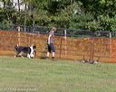 20180922-cca-0568