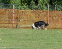 20180922-cca-0610
