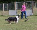20180922-cca-0614