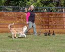 20180922-cca-0654