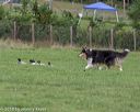 20180922-cca-0762