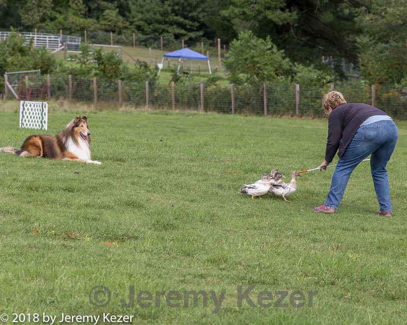 20180922-cca-0735.jpg