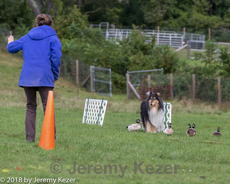 20180922-cca-0756.jpg