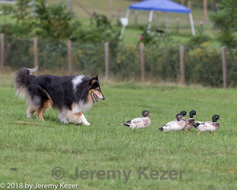 20180922-cca-0757.jpg