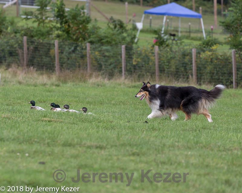 20180922-cca-0762.jpg