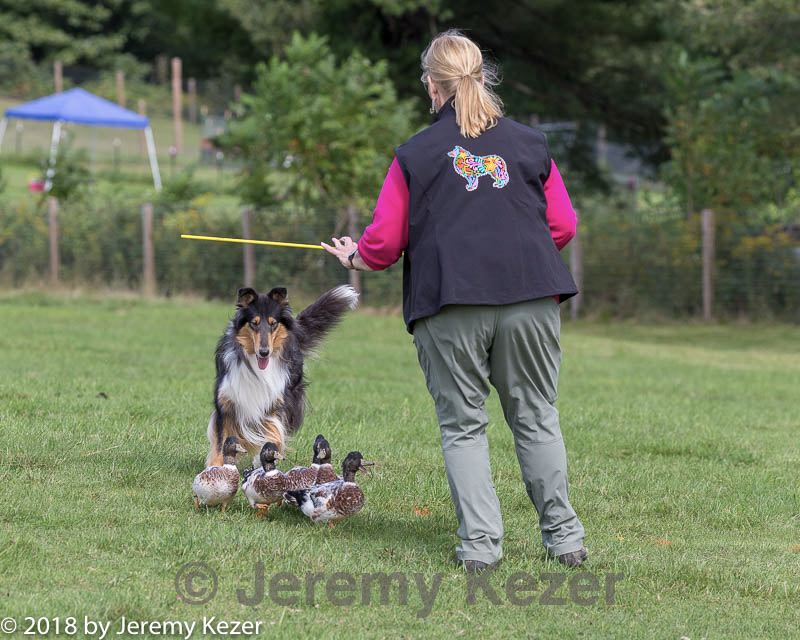 20180922-cca-0912.jpg