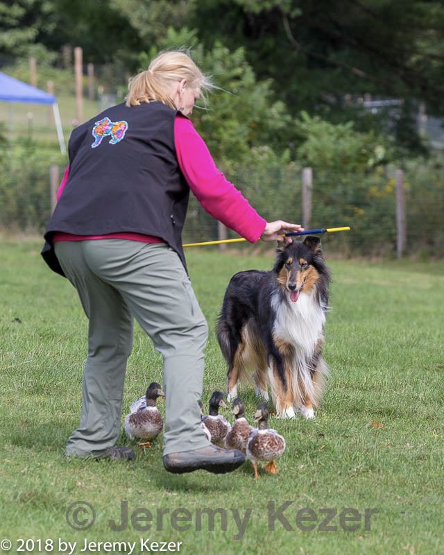 20180922-cca-0914.jpg