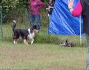 20180922-cca-1038