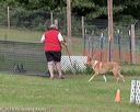 20180922-cca-1098