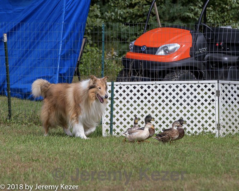 20180922-cca-0936.jpg