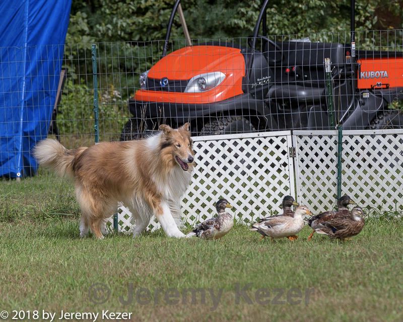 20180922-cca-0937.jpg