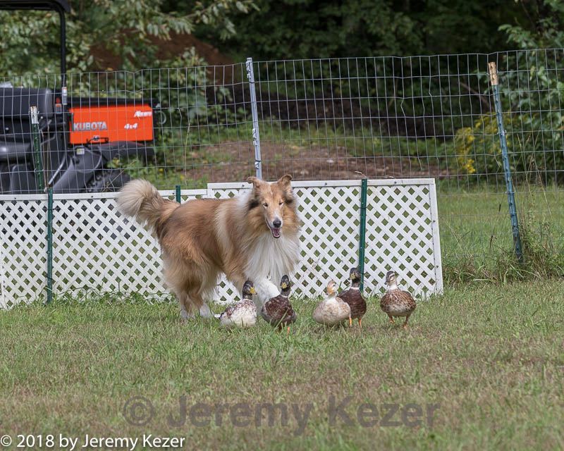 20180922-cca-0939.jpg