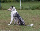 20180922-cca-1109