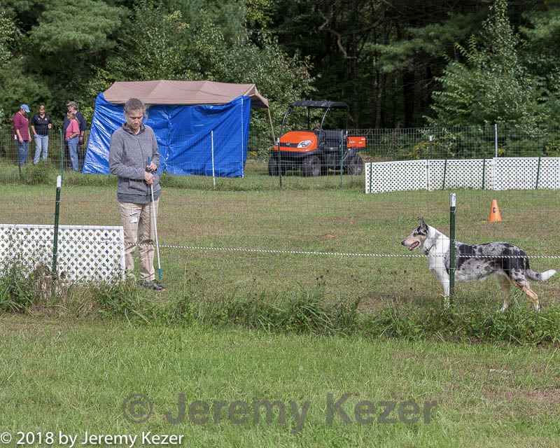 20180922-cca-1120.jpg