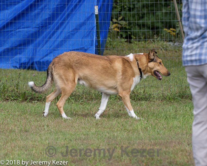 20180922-cca-1155.jpg