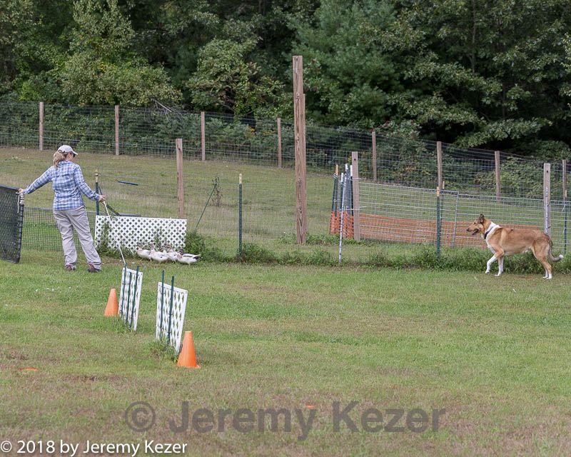 20180922-cca-1167.jpg