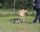 20180922-cca-1237