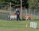 20180922-cca-1249