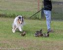 20180922-cca-1322