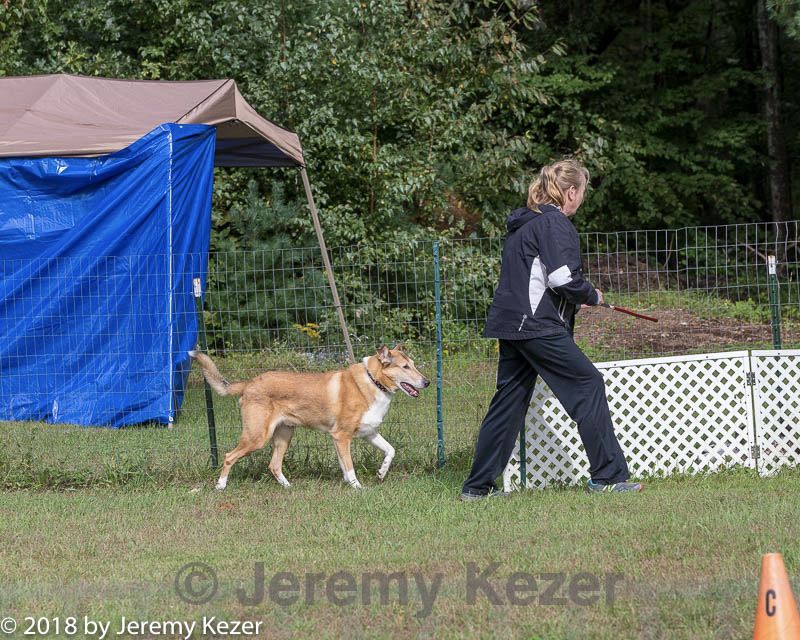 20180922-cca-1234.jpg