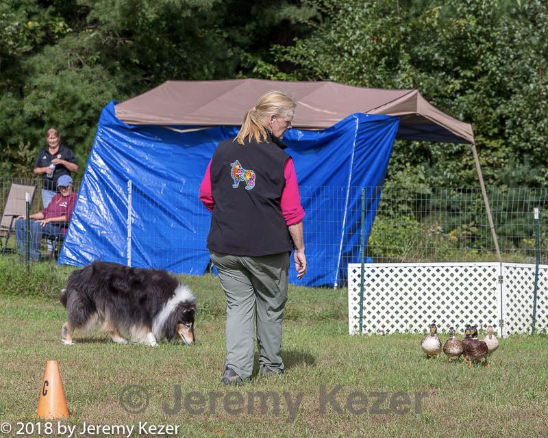 20180922-cca-1259.jpg