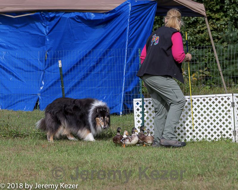 20180922-cca-1266.jpg