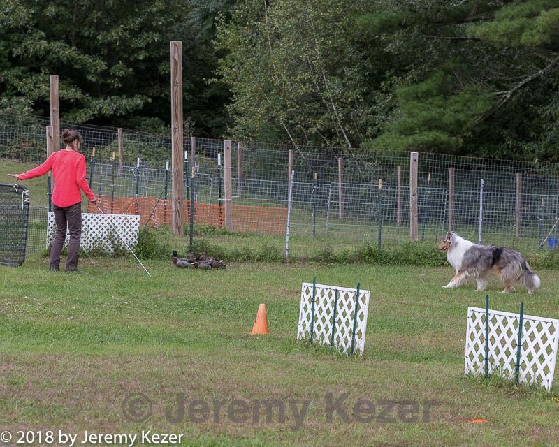 20180922-cca-1430.jpg