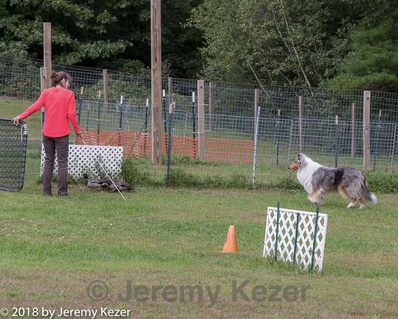 20180922-cca-1432.jpg