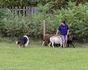 20180922-cca-1531