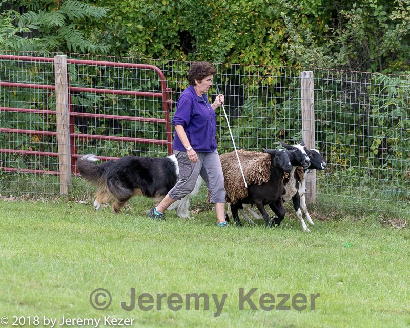 20180922-cca-1528.jpg