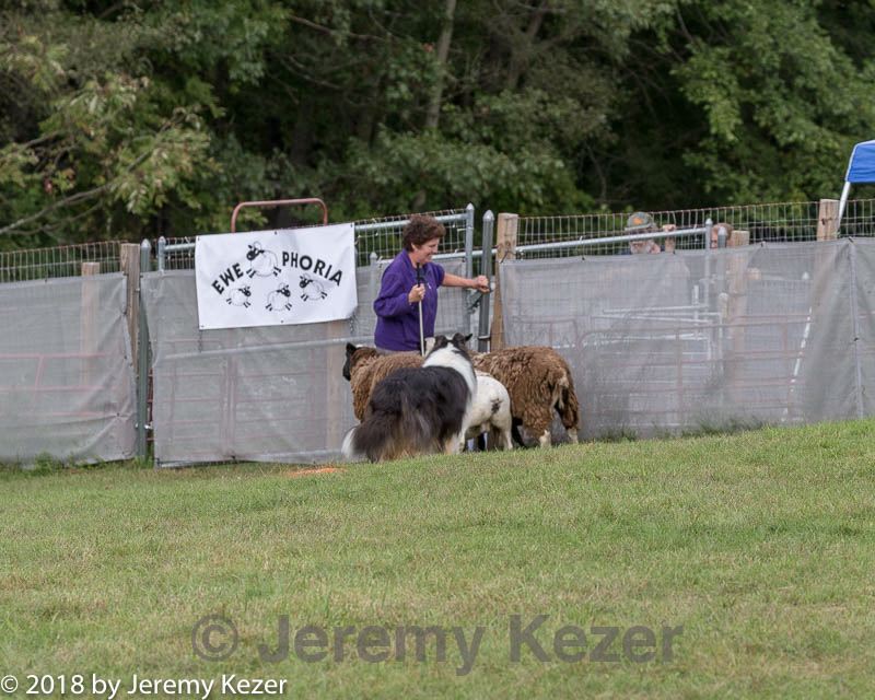 20180922-cca-1547.jpg