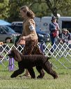 20180929-wc-0436